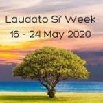 ¡Feliz semana de Laudato Si!