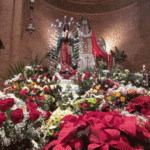 Our Lady of Guadalupe: Patron Saint of the Americas