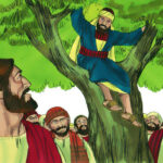 OT 31 C – The Call of Zacchaeus