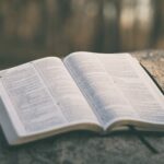 OT 3 A – Sunday of the Word of God – 2023