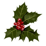 Holly as a Christmastime Symbol