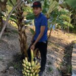 Holy Cross Campus’ First Banana Harvest