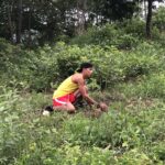 Juan plants a mango tree