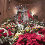 Our Lady of Guadalupe