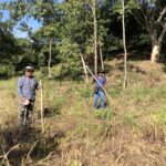 Preparing land for second growing season