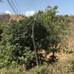 The bent pole of Yigüilaca