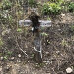 OT 22 A – Take up your cross and follow me